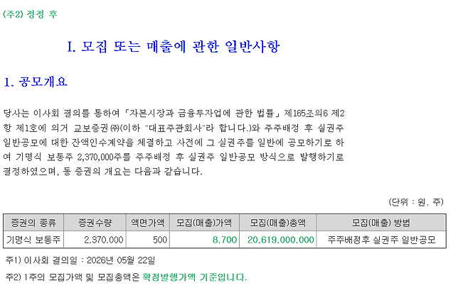 (사진=금융감독원 전자공시시스템)
