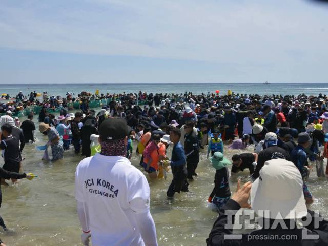 ▲8월 첫날 경북 포항시 구룡포 해수욕장에서 열린 ‘제22회 오징어 맨손잡기 체험 및 구룡포 해변축제’ 모습.ⓒ프레시안 (오주호 기자)