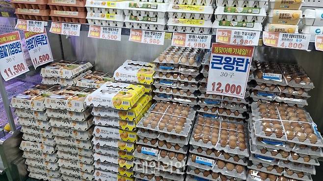 서울 서대문구 일대 한 대형마트에서 계란이 진열돼 있다. ⓒ데일리안 김찬주 기자