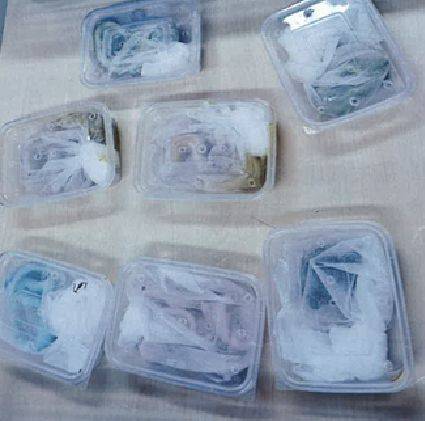 검찰이 수사 과정에서 압수한 야생동물. 소리가 나지 않도록 키친 타올과 함께 플라스틱 통에 넣은 모습이다. 사진 서울동부지검
