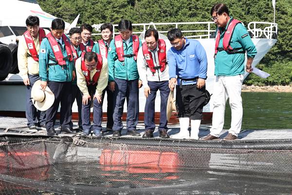 박완수(오른쪽 셋째) 경남도지사가 지난달 29일 통영시 산양읍 한 해상가두리 양식장을 방문해 고수온 피해 대응 상황을 점검하고 있다. /경남도