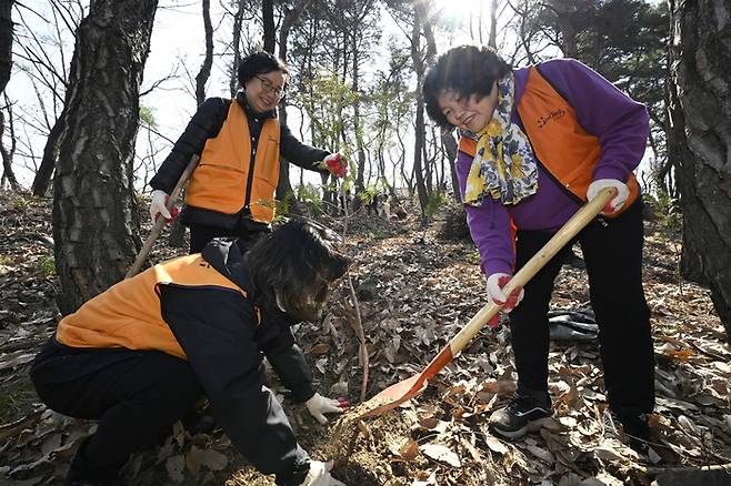 지난해 3월20일 오전 대구 달서구 도원근린공원에서 열린 2025년 우리마을 동산가꾸기 행사에서 달서구청 직원들과 자원봉사자들이 편백나무 묘목을 심고 있다. 영남일보 DB