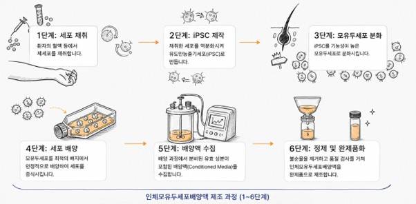 인체모유두세포배양액 제조 과정./ 메디포스트 제공
