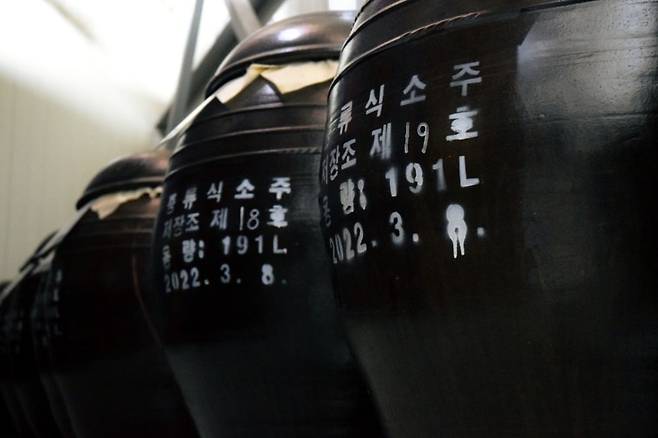 증류식 소주가 옹기에서 숙성되고 있는 다농바이오 숙성고. © 다농바이오