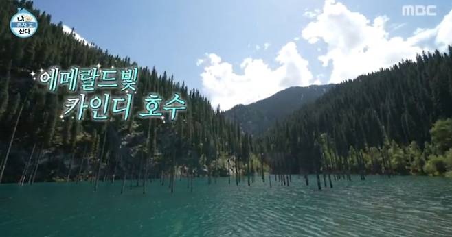 '나 혼자 산다'(나혼산)