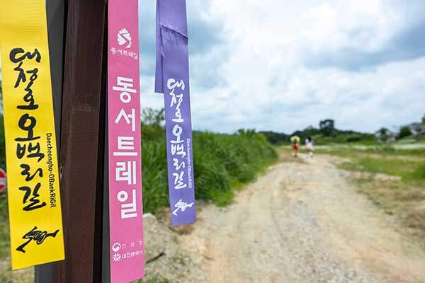 동서트레일 안내리본이 대청호오백리길 리본과 나란히 붙어 있다.