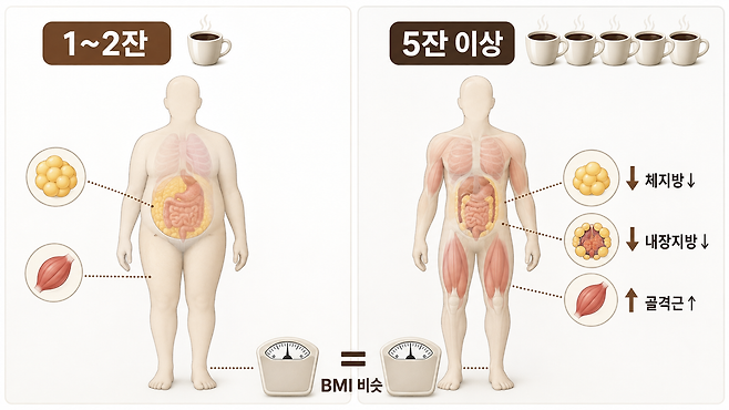 하루 커피 섭취량에 따른 체성분 차이를 표현한 이미지. 하루 5잔 이상 섭취군은 1~2잔 섭취군보다 체지방과 내장지방은 적고 골격근량은 많은 것으로 나타났지만, BMI는 큰 차이가 없었다. ChatGPT 생성 이미지