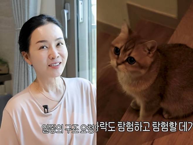 사진 = 김정난 유튜브 채널 영상 캡처