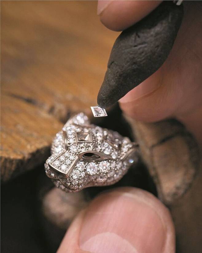 녹터나 사부아-페어 이미지. ©Cartier ©Emmanuel Lafay