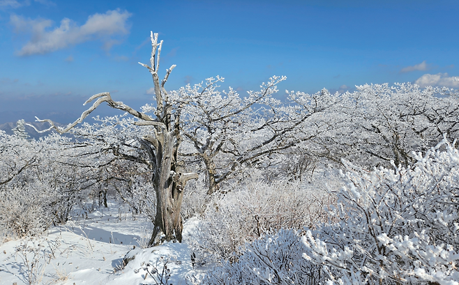 겨울 덕유산 상고대