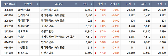 7일 코스닥 상한가 종목.(출처=한국거래소)