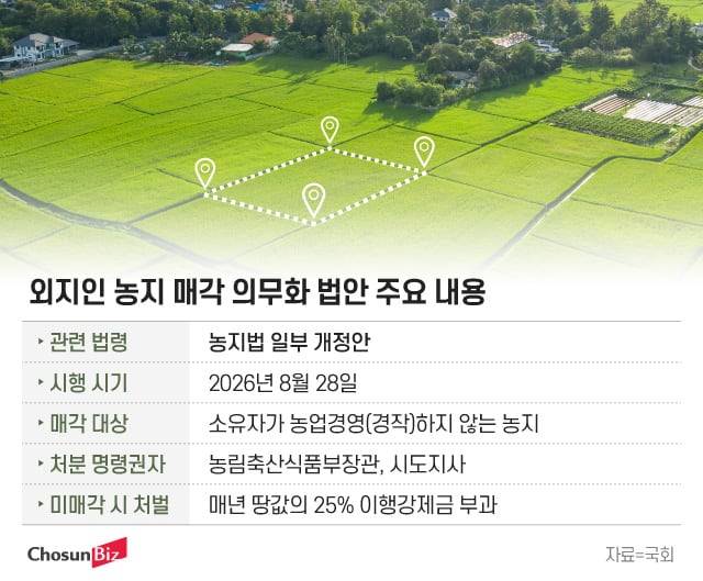 그래픽=정서희