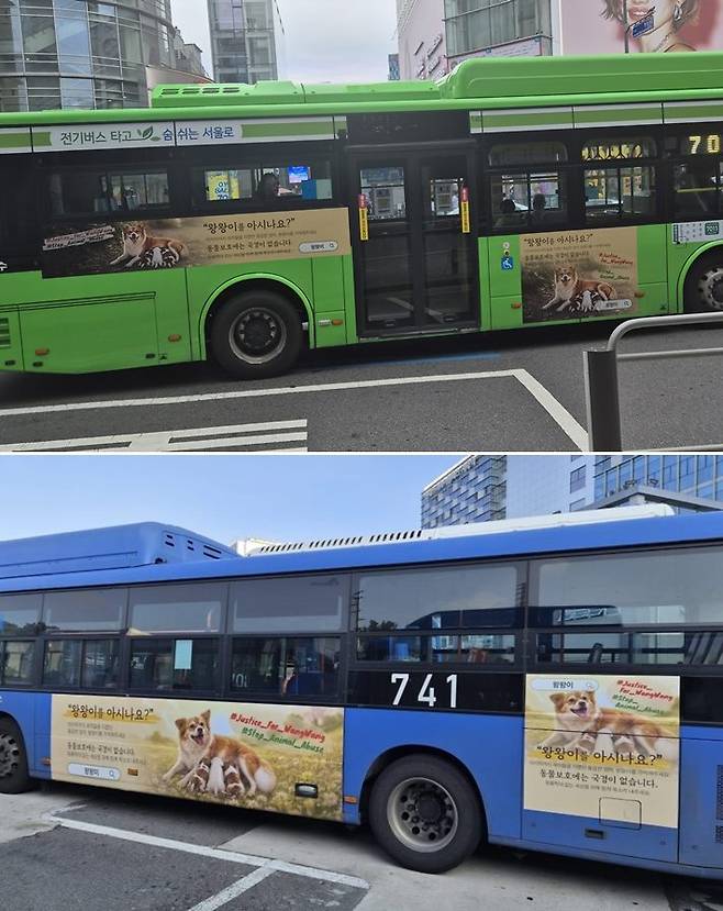 팀 왕왕 코리아 제공