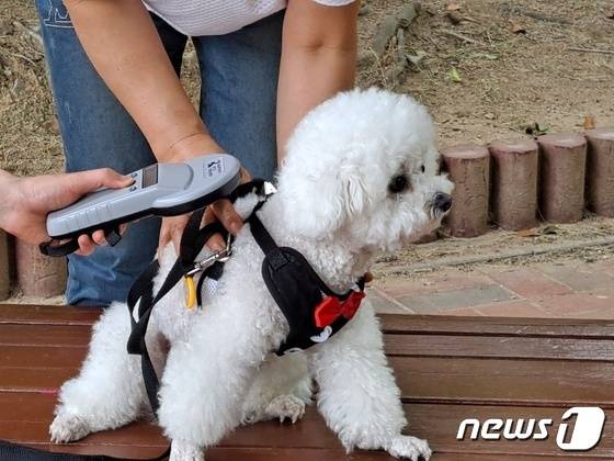 내장형 등록 정보를 확인하는 모습(김해시 제공) ⓒ 뉴스1