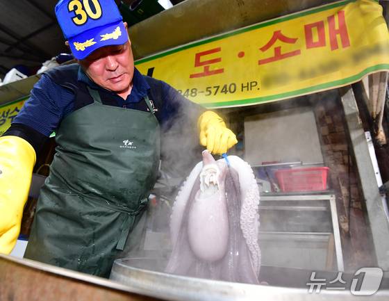추석 명철을 앞둔 13일 경북 포항시 죽도어시장 문어 골목에서 한 상인이 문어를 삶고 있다. 2026.9.13 ⓒ 뉴스1 최창호 기자