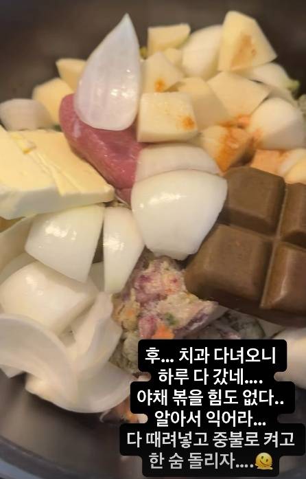 /사진=안선영 SNS