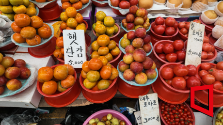 22일 광주 북구 말바우시장의 한 과일가게에 사과와 감, 배 등 제수용 과일이 진열돼 있다. 이날 장을 다 보고 계산해 보니 배 1만원, 사과 1만원, 감 5000원 등 모두 5만550원이었다. 다만 이번 장보기는 어디까지나 '간소한 상차림'이다. 생선과 닭고기, 계란, 전 등은 제외했고 과일과 나물도 필요한 만큼만 샀다. 송보현 기자