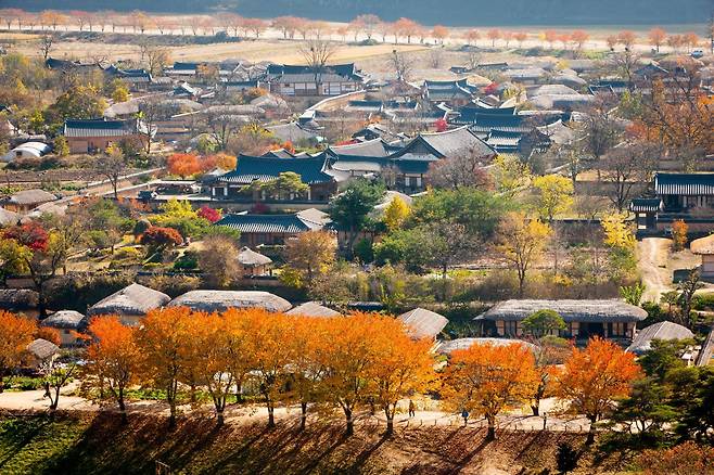 경북 안동시 하회마을의 가을이 고즈넉하다. 한국관광공사 제공