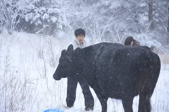 넷프릭스 ‘대환장 기안장2’ 제공