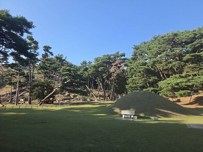 국보급 문화재가 즐비한 경주보문단지 인근의 사적지 입구 모습. 경주시는 문화재 훼손 방지를 1순위로 소나무재선충의 확산 방지에 집중하고 있다. (사진=홍석천 기자)