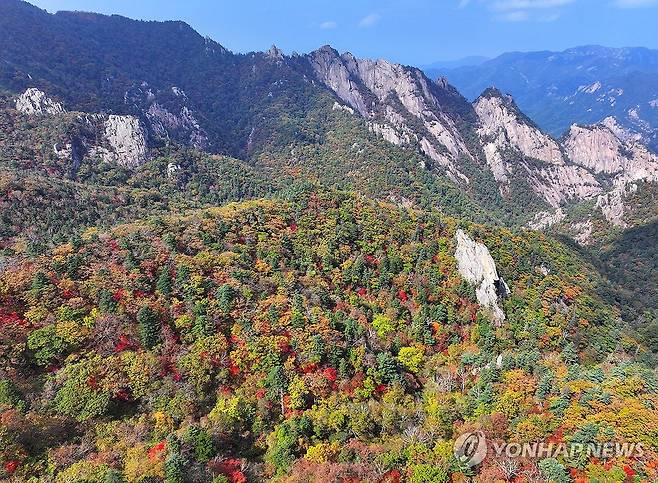 단풍 물드는 설악산 (속초=연합뉴스) 양지웅 기자 = 완연한 가을 날씨가 찾아온 30일 강원 속초시 설악산국립공원 대청∼한계령 일원이 단풍으로 물들고 있다. 2026.9.30 yangdoo@yna.co.kr