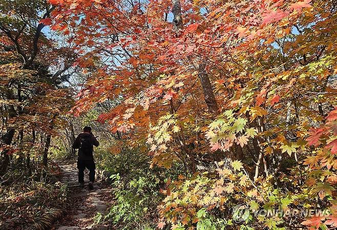 2026 설악산국립공원 고지대 단풍 풍경