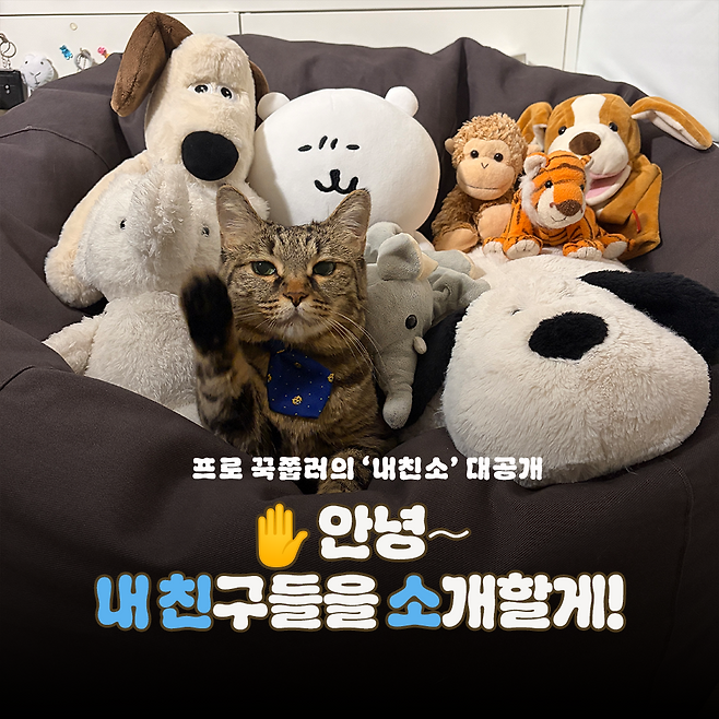 동그람이 뉴스레터 꼬순다방