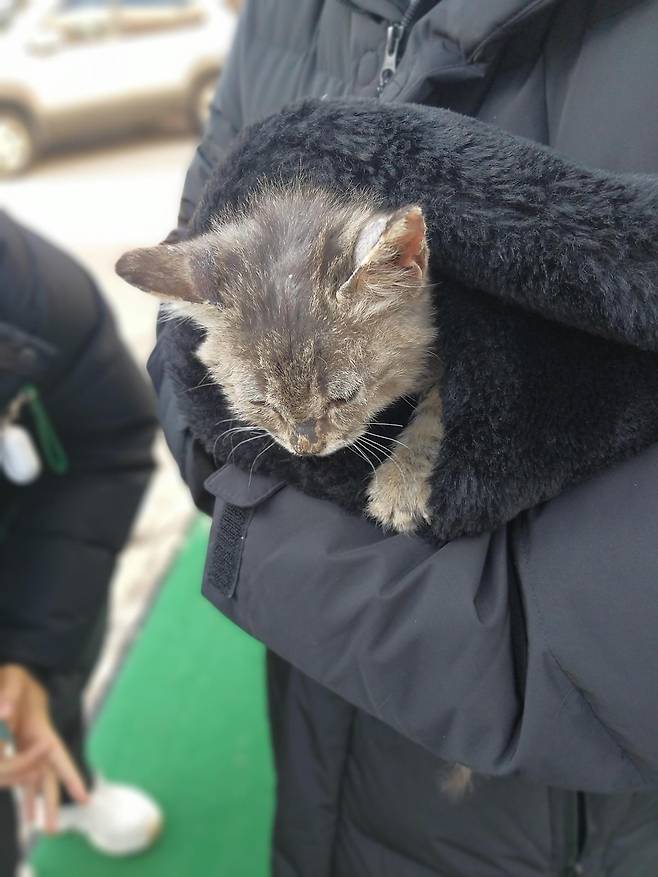 발견 당시 행님이 모습. 보호자 제공