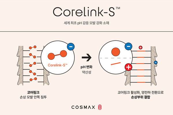 코스맥스는 헤어케어 부문 특허 등록된 '코어링크' 기술을 보유하고 있으며, 국내인디 헤어케어 전문 브랜드의 헤어 오일 에센스 제품에 해당 기술 적용돼 있다. / 코스맥스