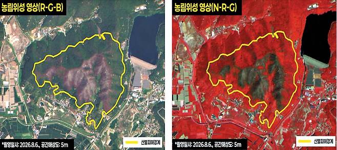 농림위성인 차세대중형위성 4호로 촬영한 경상남도 밀양시 대형 산불 발생 현장의 모습. 불이 났던 넓은 지대의 산림 변화 및 재난지역 파악, 국토 변화 관측 등이 가능하다. /우주항공청