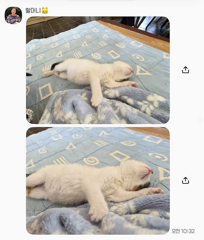 할머니가 손녀에게 보내신 사진입니다. 보호자 제공