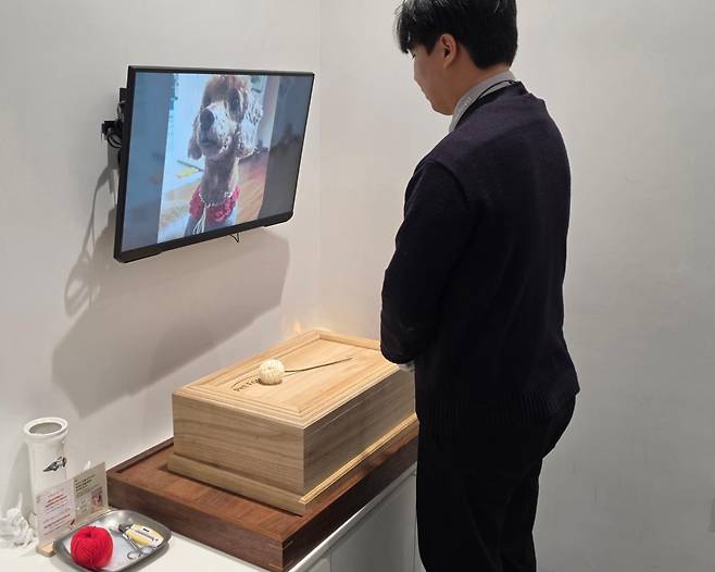 김영덕 반려동물 장례지도사가 8월 떠나보낸 반려견 마루의 사진을 화면에 띄우고 장례절차를 시연하고 있다. 김영덕 지도사 제공