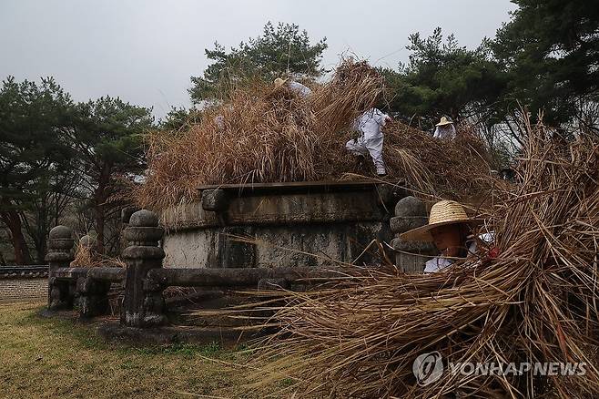 '왕이시여 시원하십니까' (구리=연합뉴스) 임병식 기자 = 한식인 6일 오전 경기도 구리시 동구릉에서 열린 건원릉 청완 예초의에서 동구릉 관리사무소 관계자들이 봉분 억새를 자르고 있다.
태조 이성계가 묻힌 건원릉은 태조 유언에 따라 함흥 억새를 가져와 봉분에 심었다고 전해진다. 2026.4.6 andphotodo@yna.co.kr