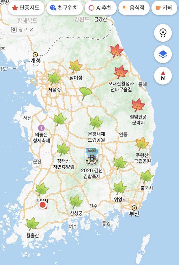 카카오맵 단풍지도 서비스