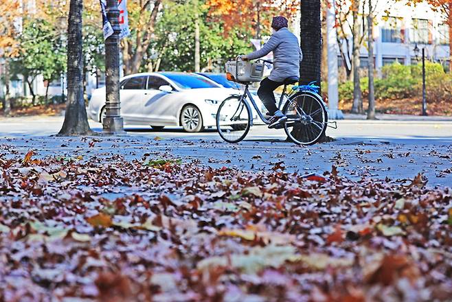 ▲ 대구·경북의 아침 기온이 전날보다 5~10도가량 떨어지며 올가을 들어 가장 추운 날씨를 보인 28일 안동 북후의 최저기온은 영하 3.3도까지 떨어졌으며, 안동에서는 올가을 첫얼음이 관측됐다. 사진은 두꺼운 패딩 점퍼와 모자를 착용한 시민이 낙엽 쌓인 거리를 자전거로 지나고 있다. 경북일보DB
