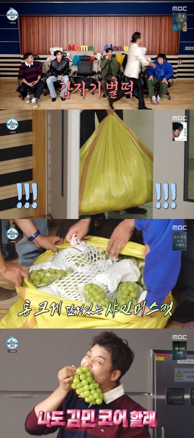 MBC ‘나 혼자 산다’ 캡처