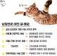 출처: 중앙대 고양이 냥침반 페이스북
