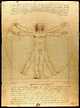 출처: Leonardo da Vinci.  Vitruvian Man (circa 1492) | 사진출처 위키미디어커먼스