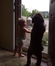 출처: https://wamiz.com/chiens/actu/quand-un-bebe-et-un-chien-ont-la-meme-reaction-en-retrouvant-leur-papa-video-du-jour-6972.html