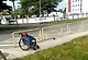 출처: https://wamiz.com/chats/actu/hesite-seconde-descend-fauteuil-roulant-sauver-chaton-coince-eau-video-16518.html