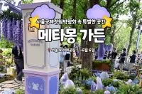 메타몽이 가득한 정원 '메타몽 가든 in 서울국제정원박람회'
